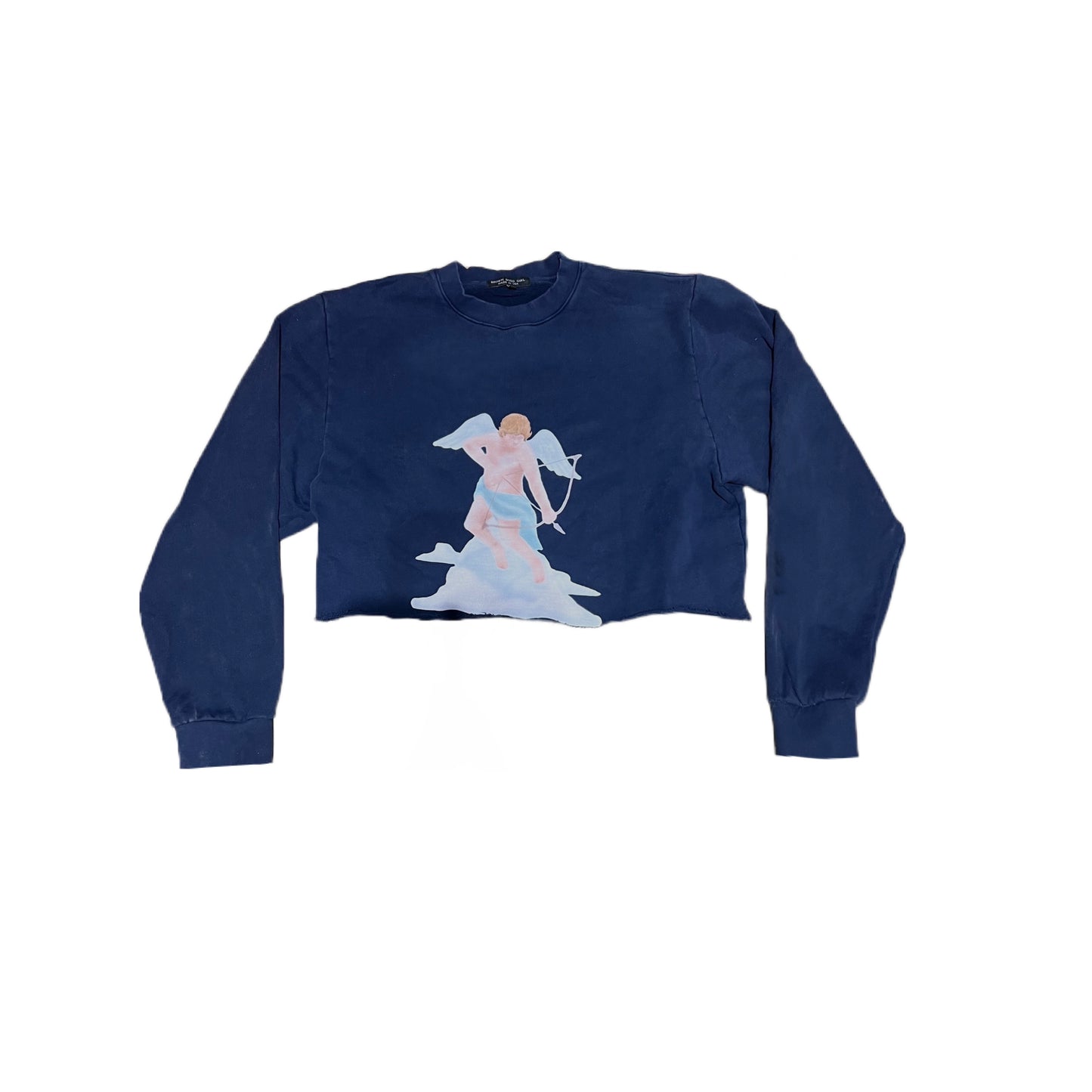 Spread your wings crop sweatshirt